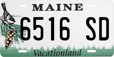 ME license plate 6516SD