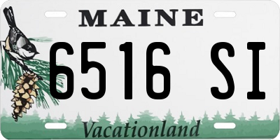 ME license plate 6516SI