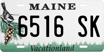 ME license plate 6516SK