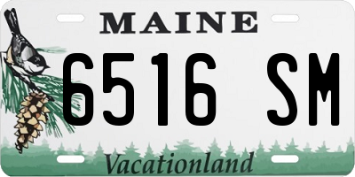 ME license plate 6516SM