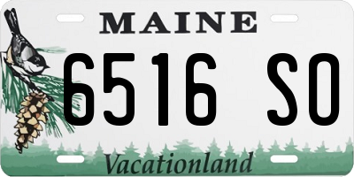 ME license plate 6516SO