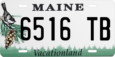 ME license plate 6516TB