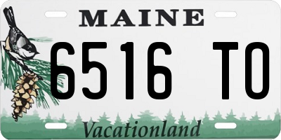ME license plate 6516TO