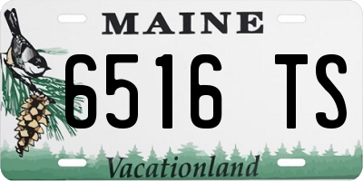 ME license plate 6516TS