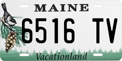 ME license plate 6516TV