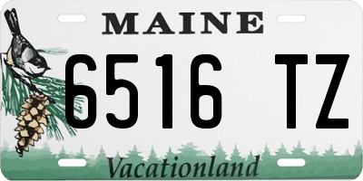 ME license plate 6516TZ