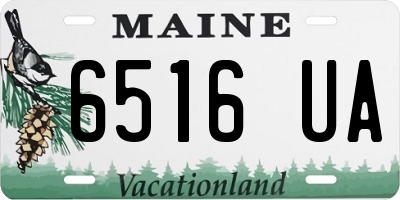 ME license plate 6516UA