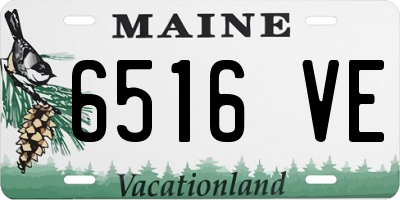ME license plate 6516VE