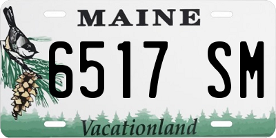 ME license plate 6517SM