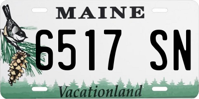 ME license plate 6517SN