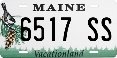 ME license plate 6517SS