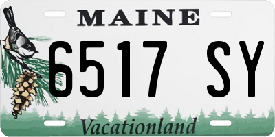 ME license plate 6517SY