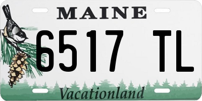 ME license plate 6517TL