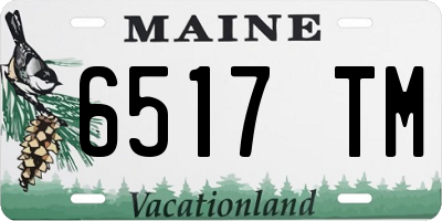 ME license plate 6517TM