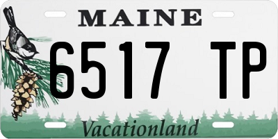 ME license plate 6517TP