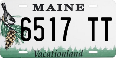 ME license plate 6517TT