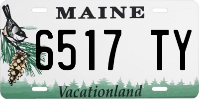 ME license plate 6517TY