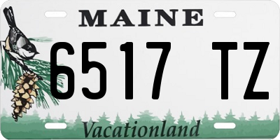 ME license plate 6517TZ