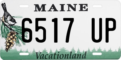 ME license plate 6517UP