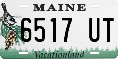 ME license plate 6517UT
