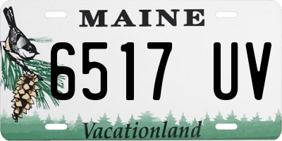 ME license plate 6517UV