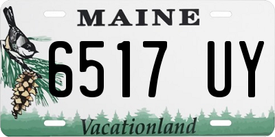 ME license plate 6517UY