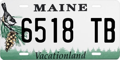 ME license plate 6518TB