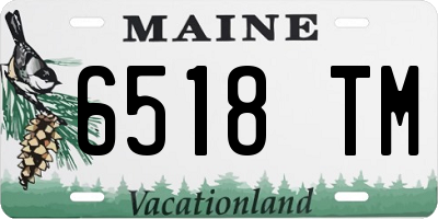 ME license plate 6518TM