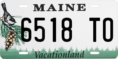 ME license plate 6518TO