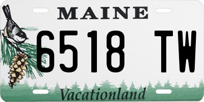 ME license plate 6518TW