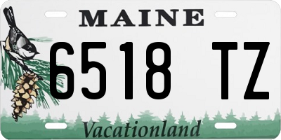 ME license plate 6518TZ