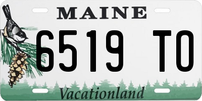 ME license plate 6519TO