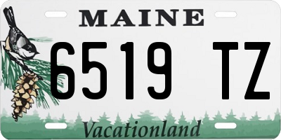 ME license plate 6519TZ