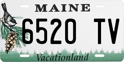 ME license plate 6520TV