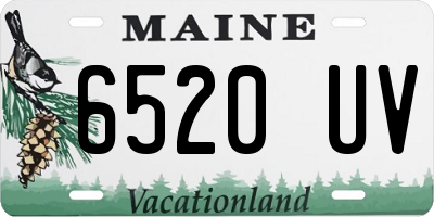 ME license plate 6520UV