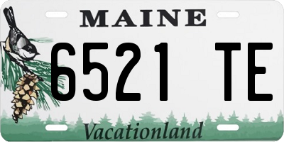 ME license plate 6521TE