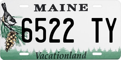 ME license plate 6522TY