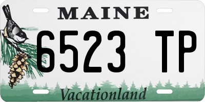 ME license plate 6523TP