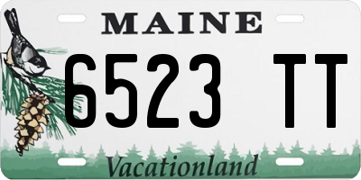 ME license plate 6523TT