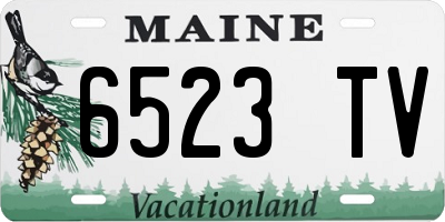 ME license plate 6523TV