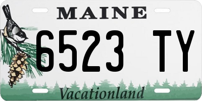 ME license plate 6523TY