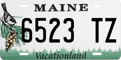 ME license plate 6523TZ