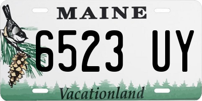 ME license plate 6523UY