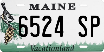 ME license plate 6524SP