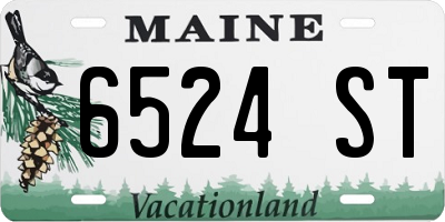 ME license plate 6524ST
