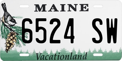 ME license plate 6524SW