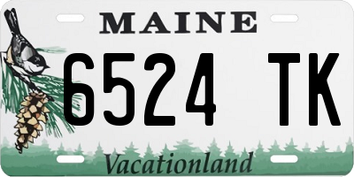 ME license plate 6524TK