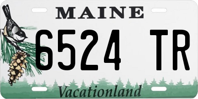 ME license plate 6524TR