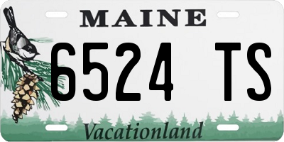 ME license plate 6524TS