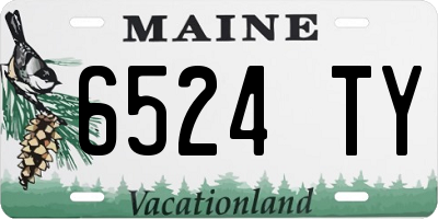 ME license plate 6524TY